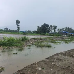 Gaidakot - Narayangarh