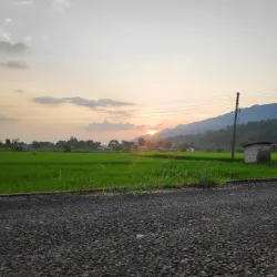 Gaidakot - Narayangarh