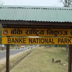 Banke National Park - Nepalgunj (Nepalganj)