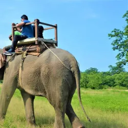 Banke National Park - Nepalgunj (Nepalganj)