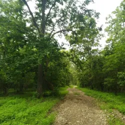 Banke National Park - Nepalgunj (Nepalganj)