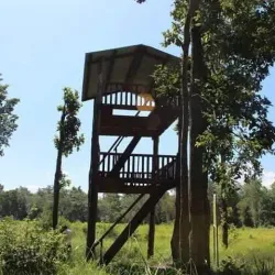 Banke National Park - Nepalgunj (Nepalganj)