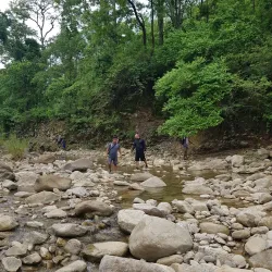 Banke National Park - Nepalgunj (Nepalganj)