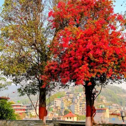 Bindhyabasini Temple - Pokhara