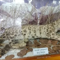 International Mountain Museum - Pokhara