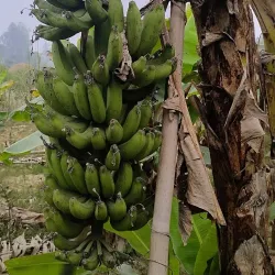 Maithili Cultural Center - Rajbiraj