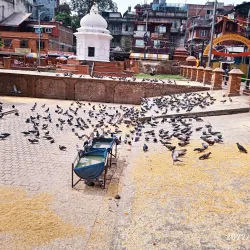 Saptari District Museum - Rajbiraj