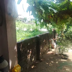 Traditional Maithili Houses - Rajbiraj