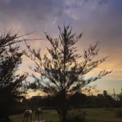 Kuti Park - Siddharthanagar (Bhairahawa)