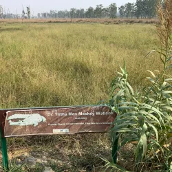 Lumbini Crane Sanctuary - Siddharthanagar (Bhairahawa)