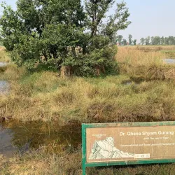 Lumbini Crane Sanctuary - Siddharthanagar (Bhairahawa)