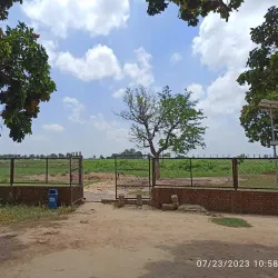 Tilaurakot Archaeological Site - Siddharthanagar (Bhairahawa)