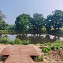 Tilaurakot Archaeological Site - Siddharthanagar (Bhairahawa)
