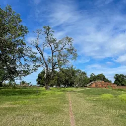 Tilaurakot Archaeological Site - Siddharthanagar (Bhairahawa)