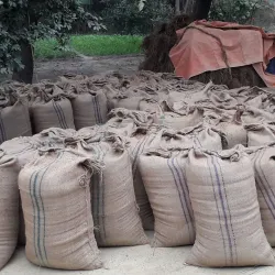 Bariyarpatti Village - Siraha