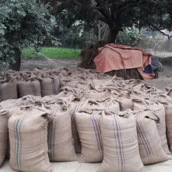 Bariyarpatti Village - Siraha