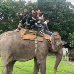 Koshi Tappu Wildlife Reserve (nearby) - Siraha