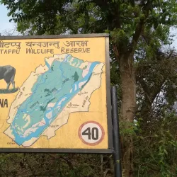 Koshi Tappu Wildlife Reserve (nearby) - Siraha