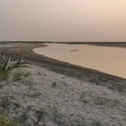 Koshi Tappu Wildlife Reserve (nearby) - Siraha