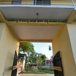 Koshi Tappu Wildlife Reserve (nearby) - Siraha