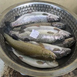 Local Rivers and Fishing Spots - Siraha