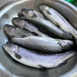 Local Rivers and Fishing Spots - Siraha