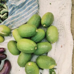 Siraha Bazaar - Siraha