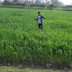 Siraha Cultural Festival - Siraha