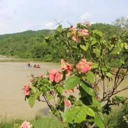 Siraha Cultural Festival - Siraha