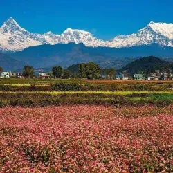 Putalibazar - Syangja