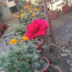 Local Handicraft Workshops - Tansen