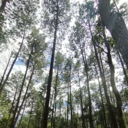 Tansen Bazaar - Tansen