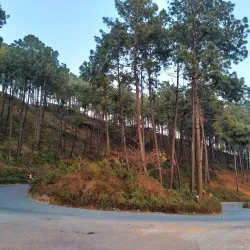 Tansen Bazaar - Tansen