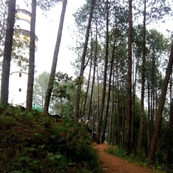 Tansen Viewpoint - Tansen