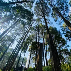 Tansen Viewpoint - Tansen