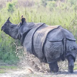 Bardiya National Park - Tikapur