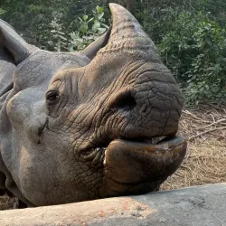 Bardiya National Park - Tikapur