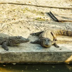 Bardiya National Park - Tikapur
