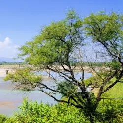 Babai River - Tulsipur