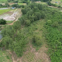 Community Forests - Tulsipur