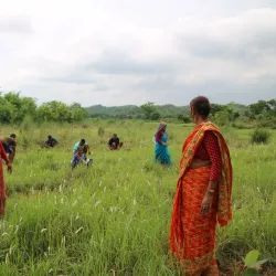 Community Forests - Tulsipur