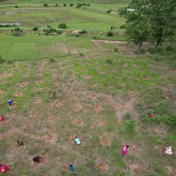 Community Forests - Tulsipur