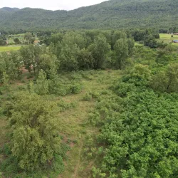 Community Forests - Tulsipur