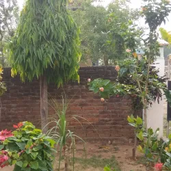 Dang Valley - Tulsipur