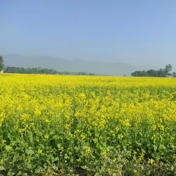 Dang Valley - Tulsipur