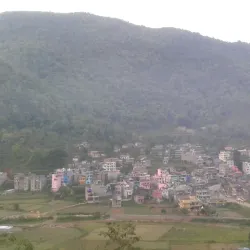 Community Cultural Events - Waling