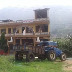 Community Cultural Events - Waling