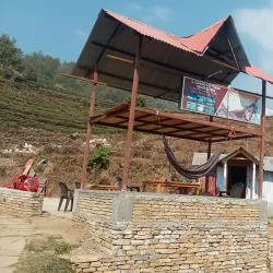 Local Tea Gardens - Waling