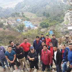 Local Tea Gardens - Waling