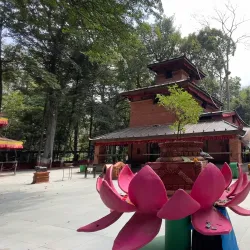 Traditional Nepali Temples - Waling